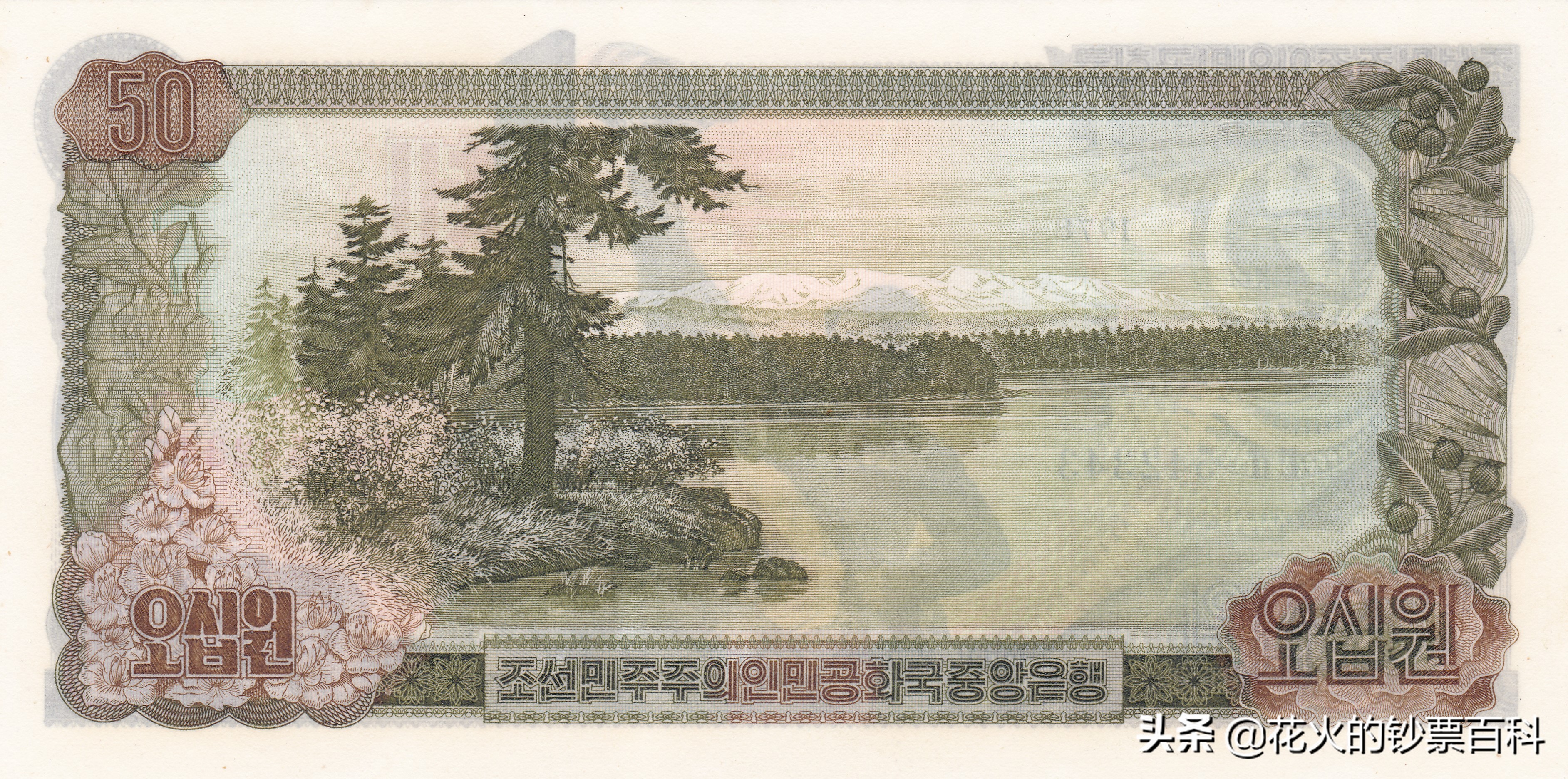 带你看一套朝鲜最好看的纸币