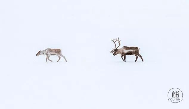 寡到极致的文案,极致深度好文