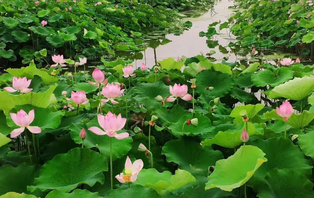 长沙团建烧烤岳麓区,长沙团建烧烤推荐地方芙蓉区