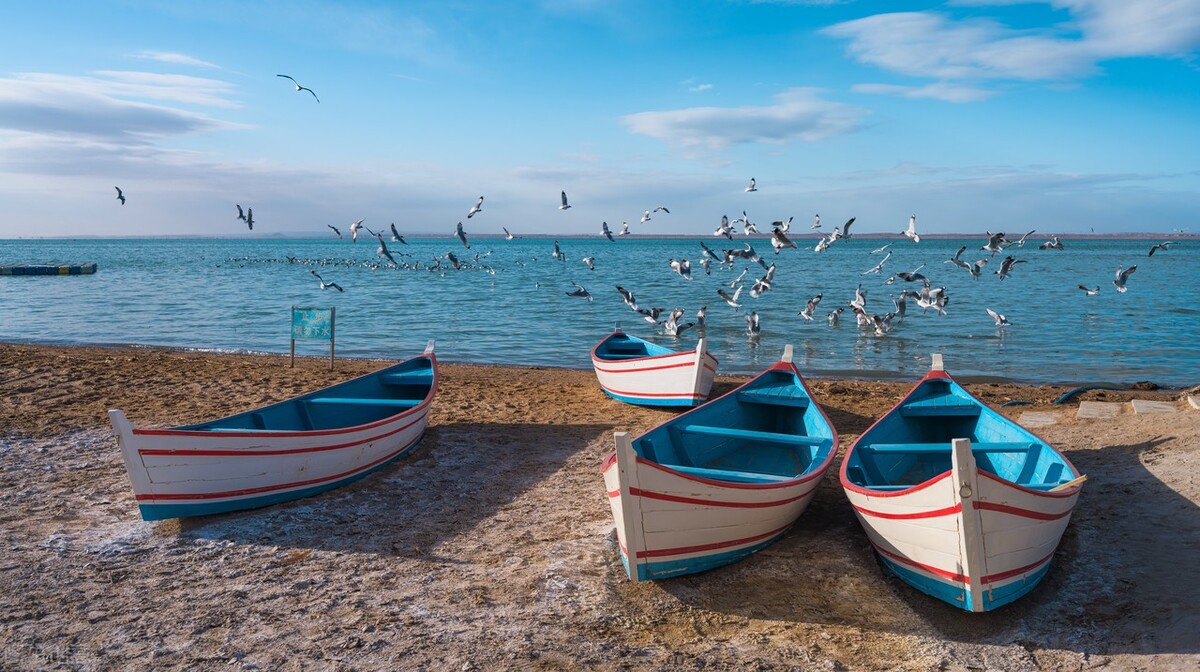 孩子不会读书怎样引导他,孩子不会读怎么教呢