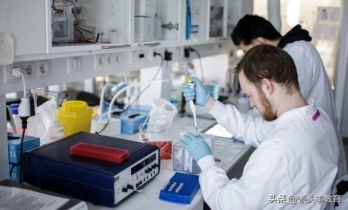 你了解大学究竟怎样招生吗?