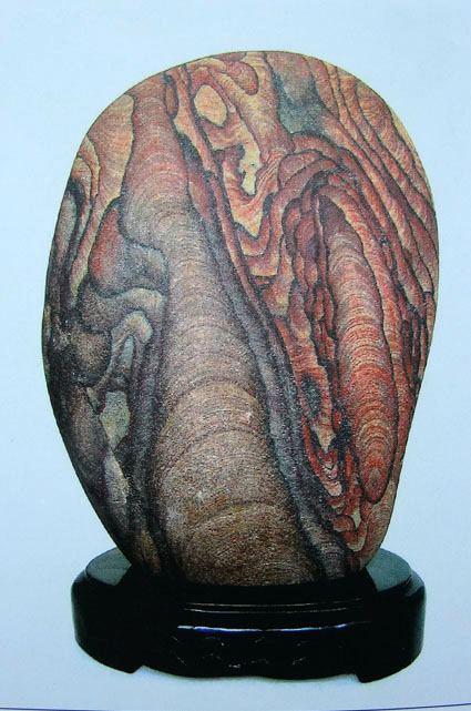 走进长江石---------芙蓉石