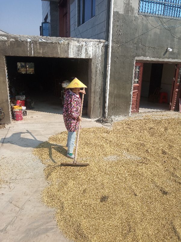 现在农村嫁来的媳妇和新生小孩没有田，去世的农民有田，开会吵架