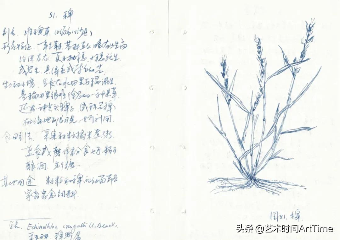 被打断的饭局@昊美术馆（上海）｜展览资讯