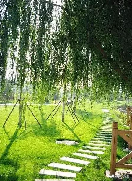 乐亭最美的地方,乐亭县古镇