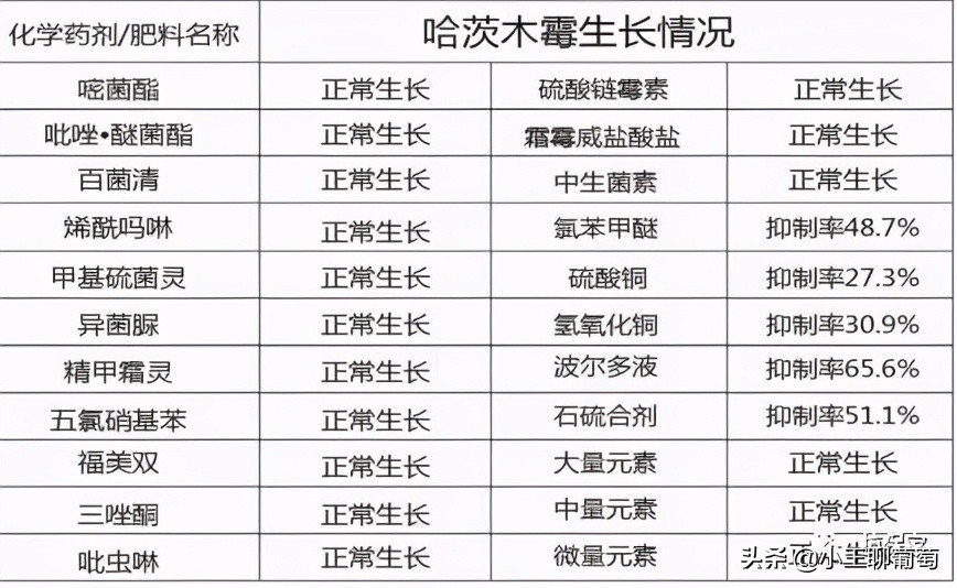 微生物菌剂治病,植物通用微生物菌剂