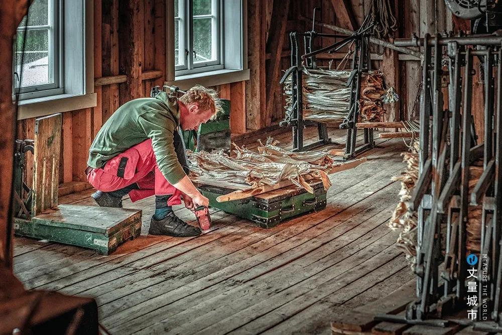 维京遇到全域旅游,美丽乡村、特色小镇一网打尽:挪威渔业史漫步