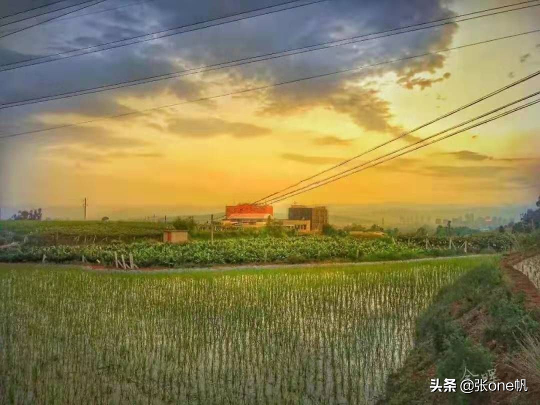 红河黄冈实验学校最近的视频,红河黄冈实验学校能走读吗