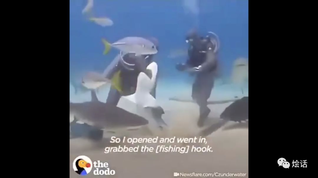 如果让鲨鱼开口，它们会说：“你们对我们有偏见！”