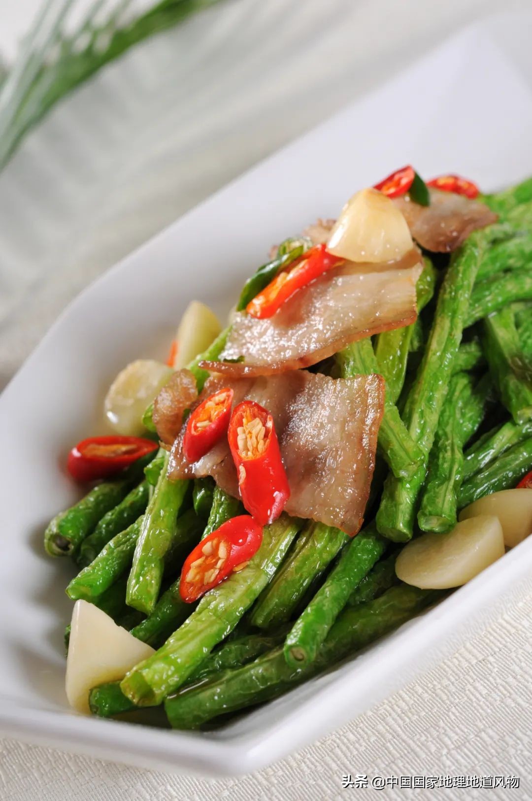 河南人吃豆角,南方人吃豆角