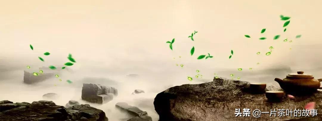 不同种类茶的辨别,茶类鉴别