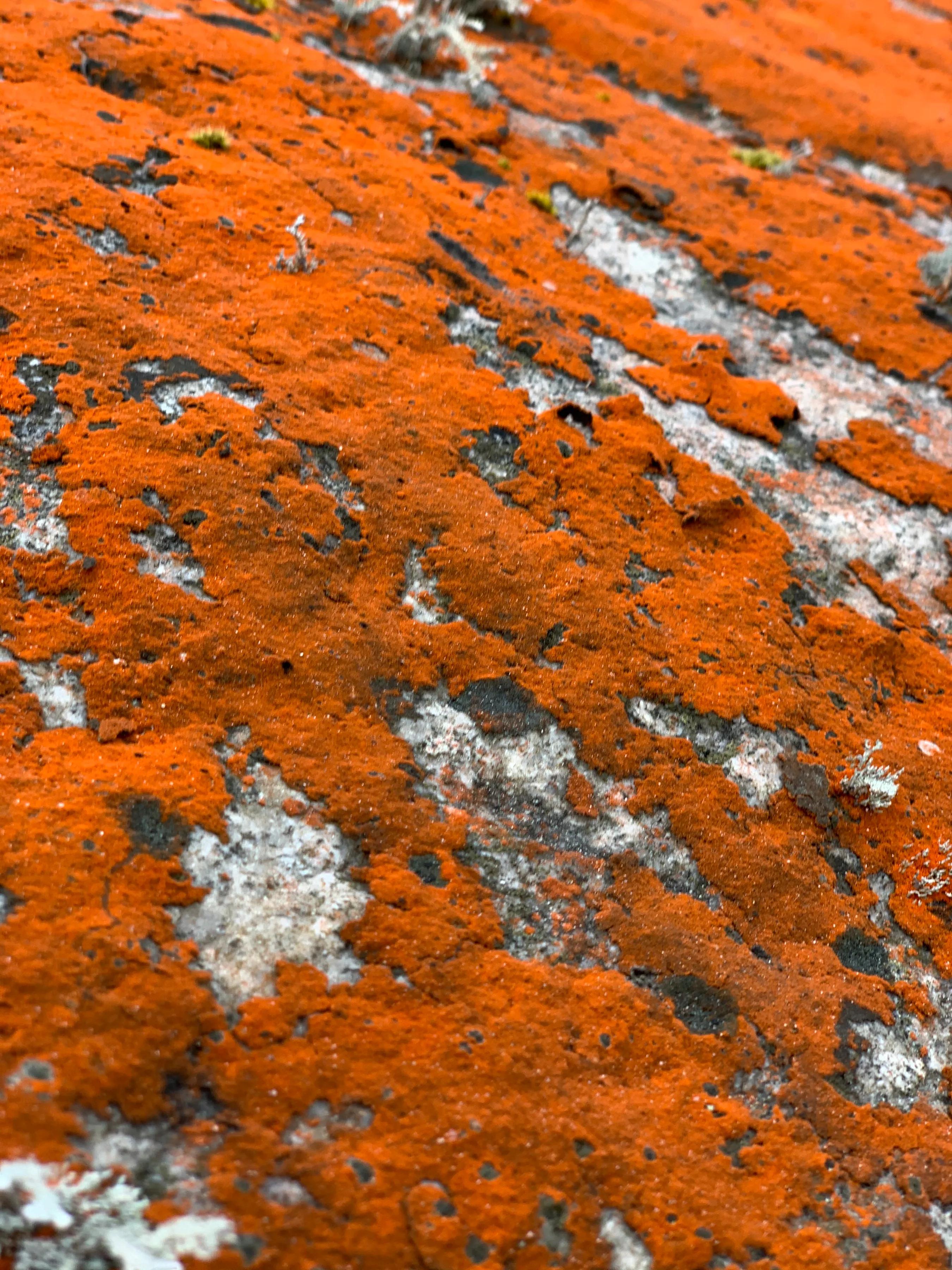 海螺沟燕子沟旅游攻略,海螺沟和燕子沟哪个更值得去