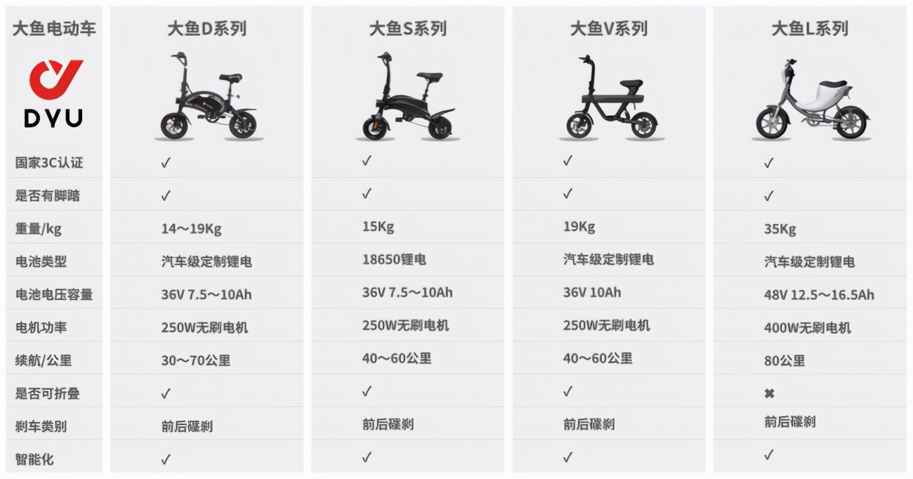 新国标大电动车,国标电动车比较好的车子推荐