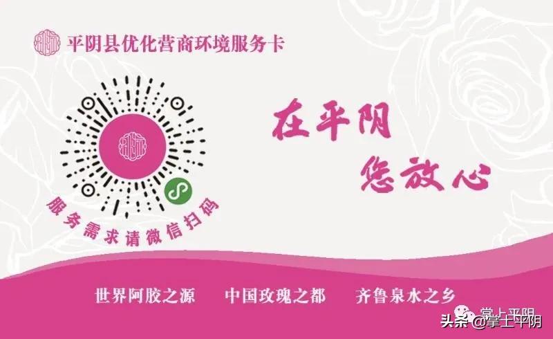 让政商线上直通,提供高效公共服务!“在平阴您放心”便民利企平台上线……