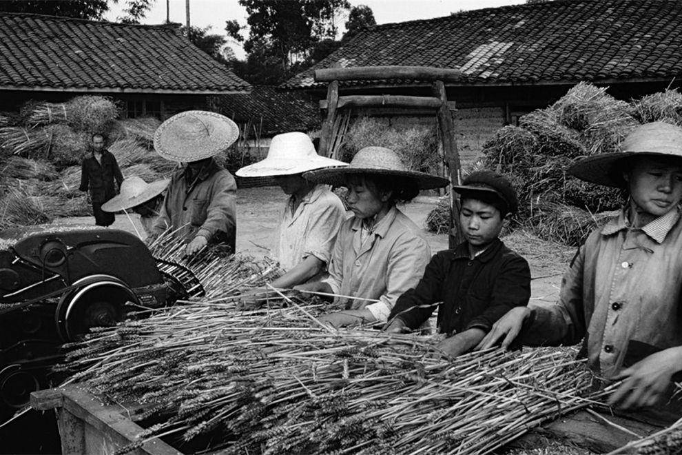 为什么筷子要七寸六分长有啥说道,筷子蕴含的中华传统文化