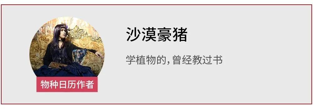 最贵的口红,居然是绿色的?