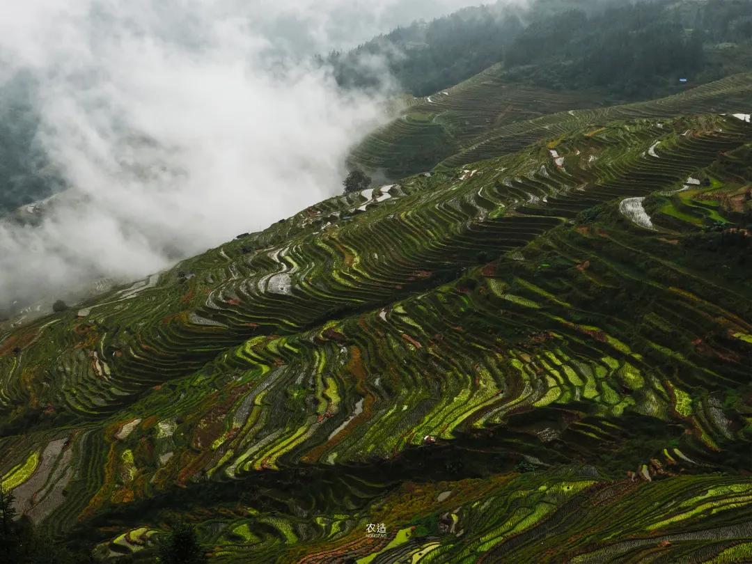 农造田野丨总有一根神经通往乡野|月亮山百里梯田