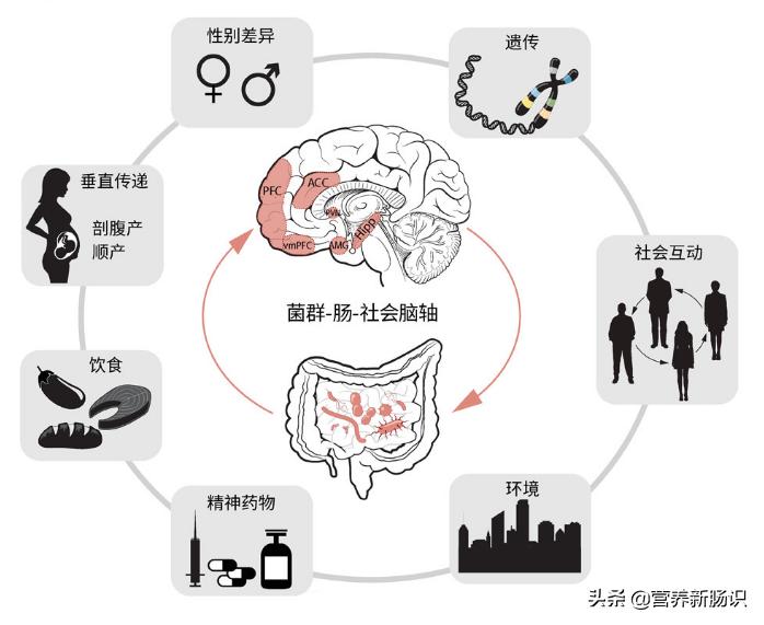 抑郁患者吞药需要做什么,吞抑郁药了怎么自救