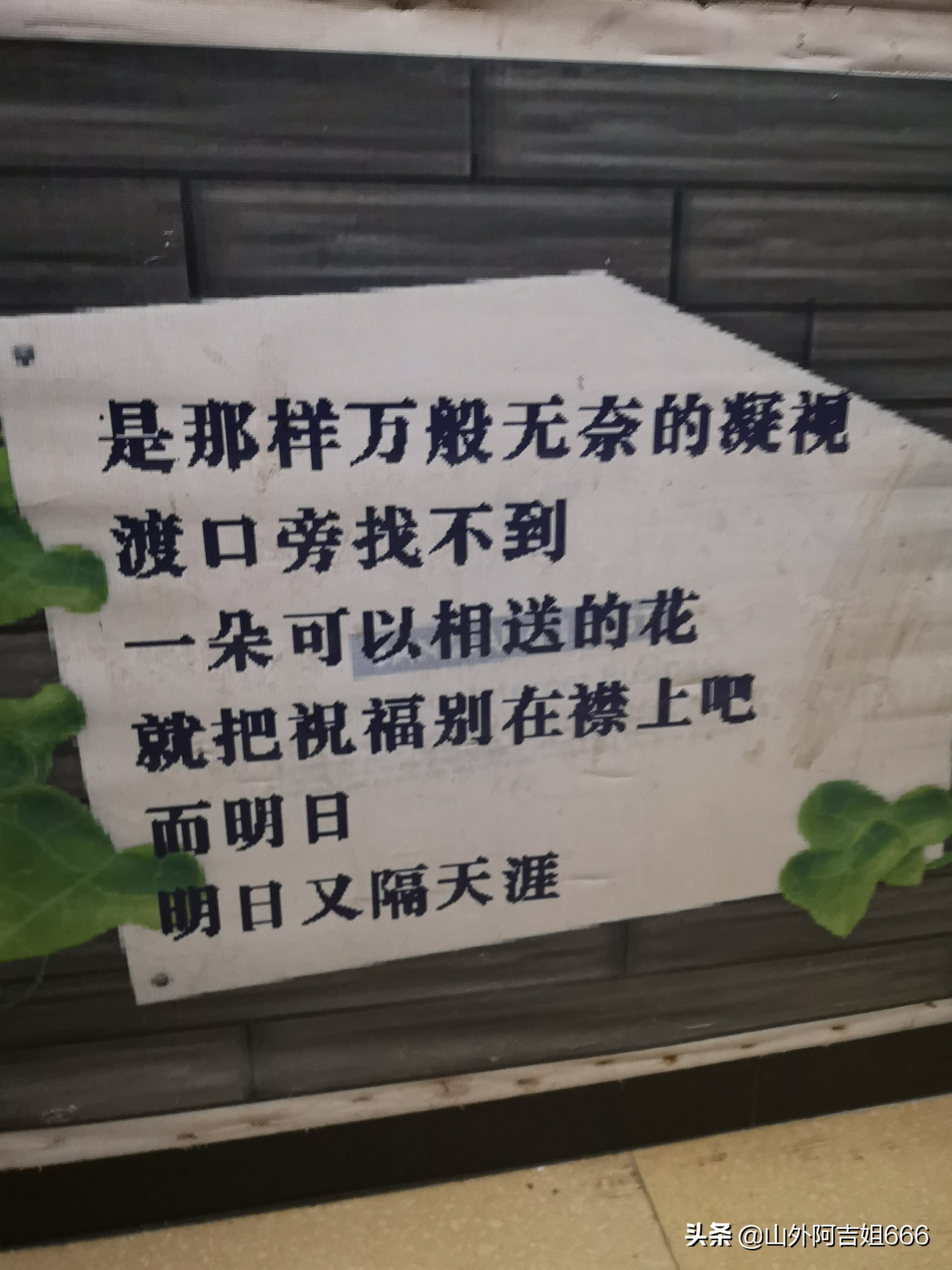 阿吉姐无搭车骑行318川藏线日记--雨天翻越海拔4720的色季拉山