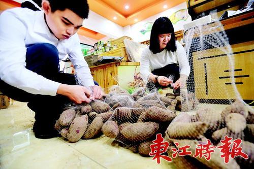 惠东淘淘宝,惠东买买买