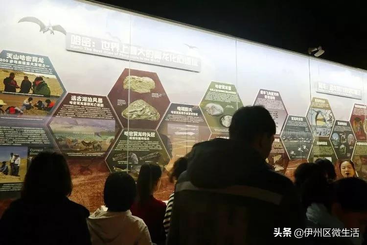 走进巴州博物馆,走进新疆博物馆