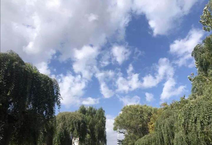 吉林农业科技学院在吉林省哪个市,2022吉林高校学科规模