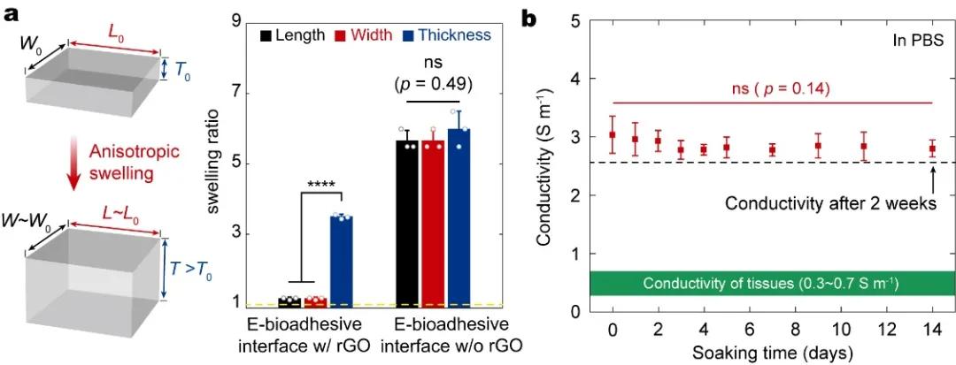 人机界面交互技术,生物粘性电子科技