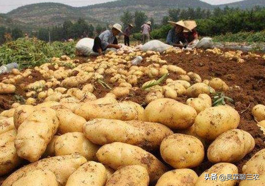 入窖后温度变化及应对,粮食入窖温度高低有什么作用