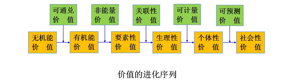 生物进化论深度解析,生物进化论的发展趋势及现状