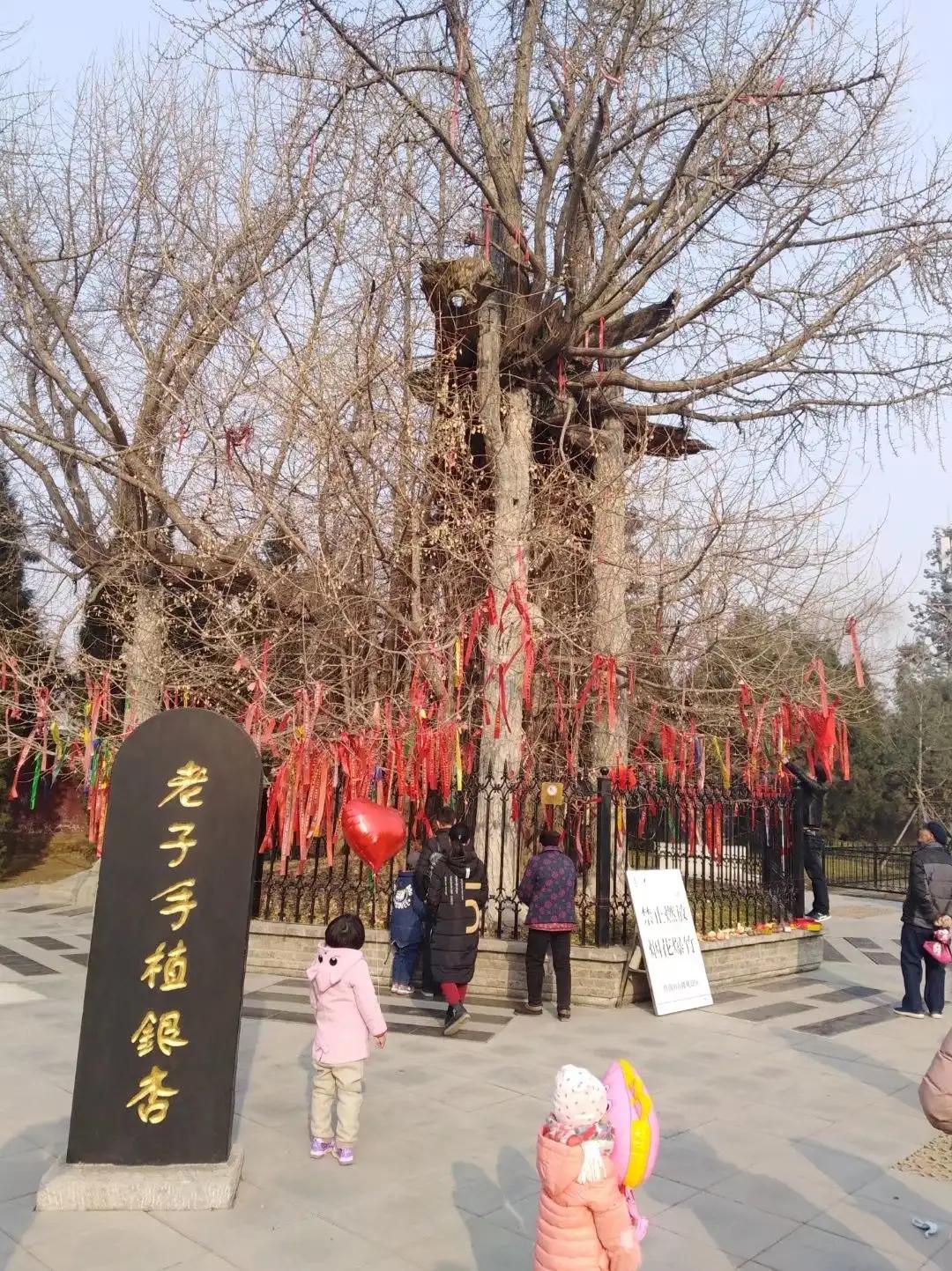 楼观台国家森林公园竹林,楼观台国家森林公园海拔