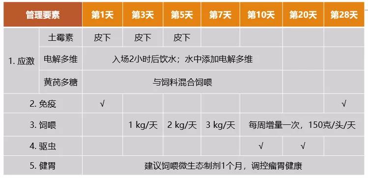 聚焦种源营养与替抗,7位专家分享“科技创新”赋能肉牛羊产业