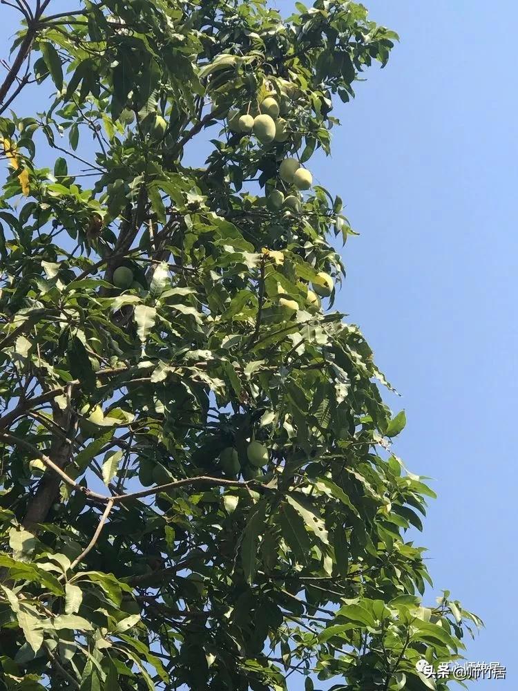 柬埔寨游记600字,柬埔寨游记美篇