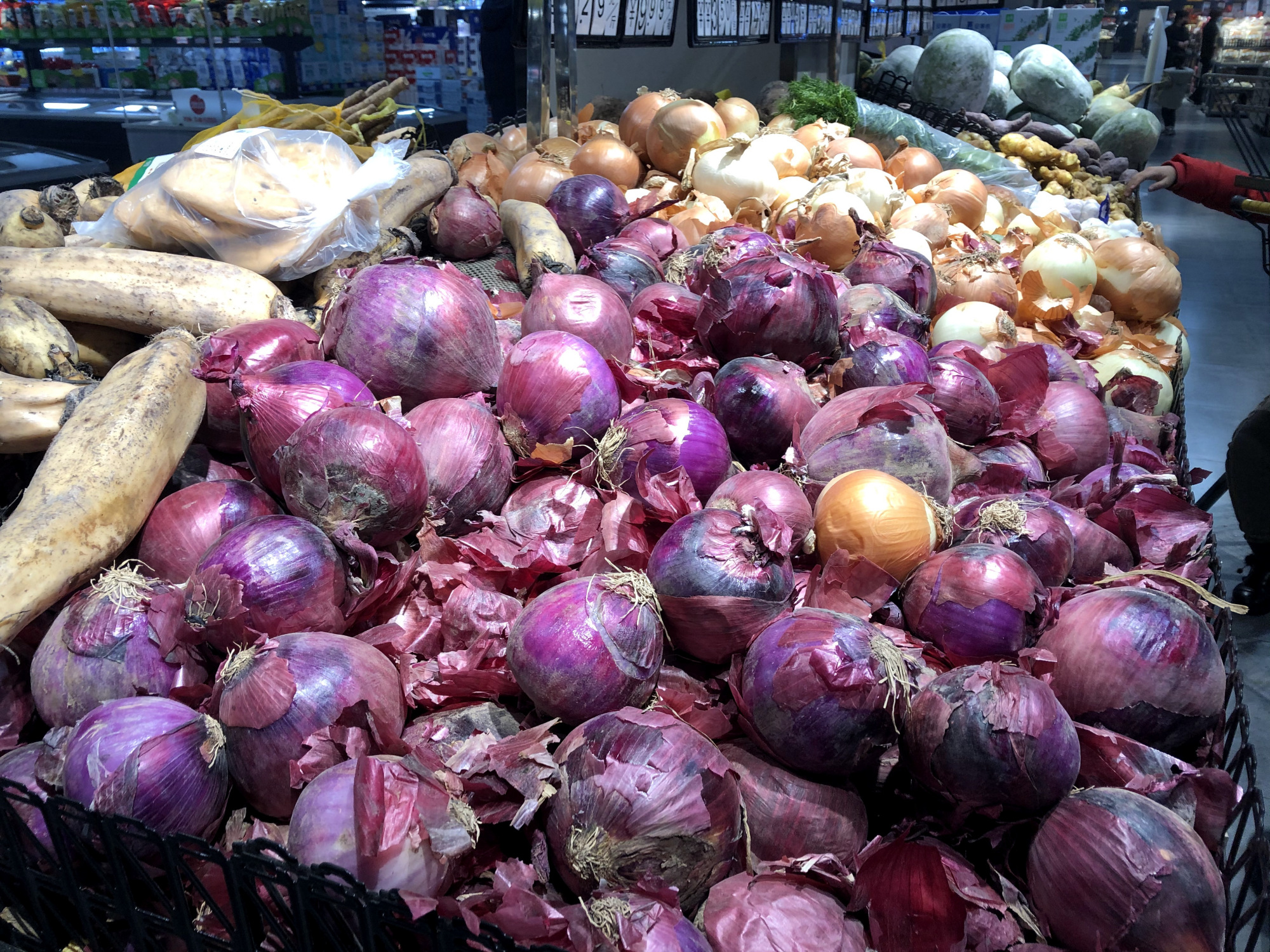 紫皮洋葱和黄皮哪种好,买洋葱是圆的好还是扁的好