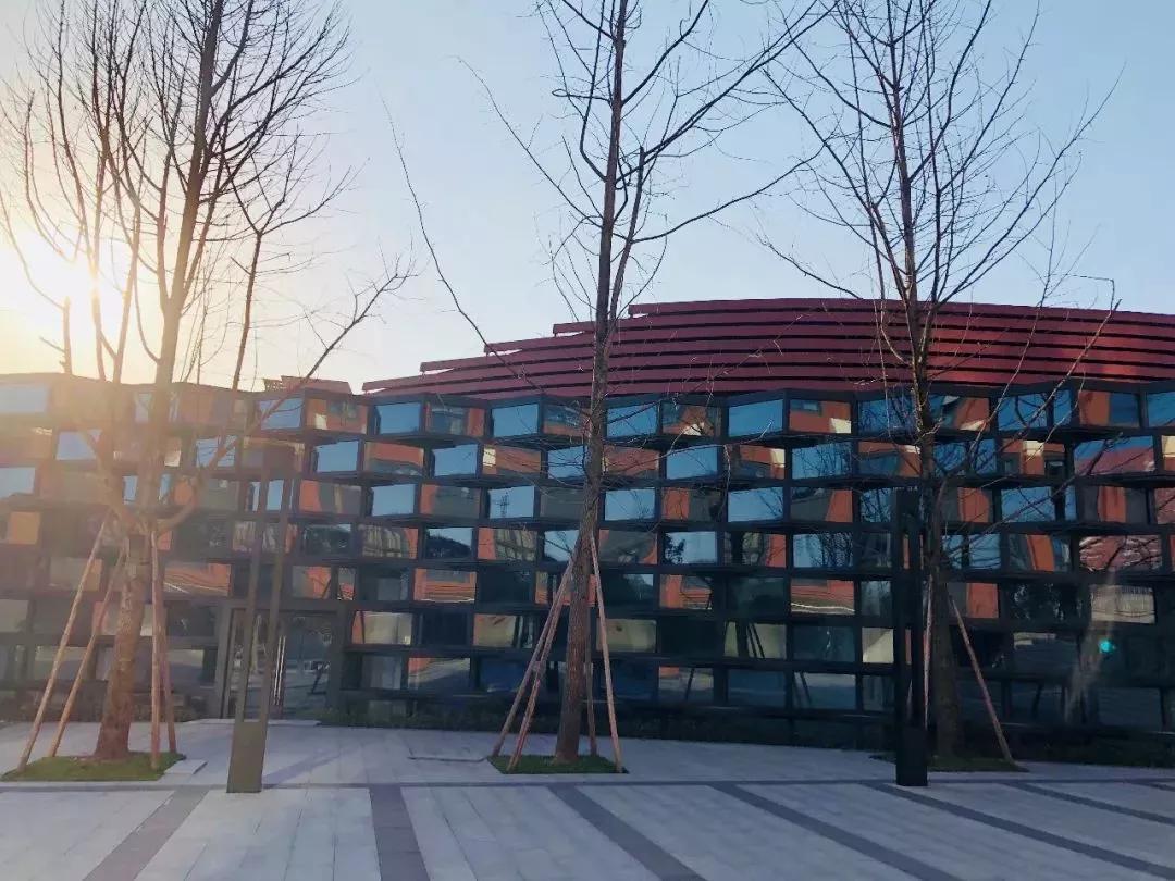 重庆一中第一实验中学,重庆第一实验中学最新情况