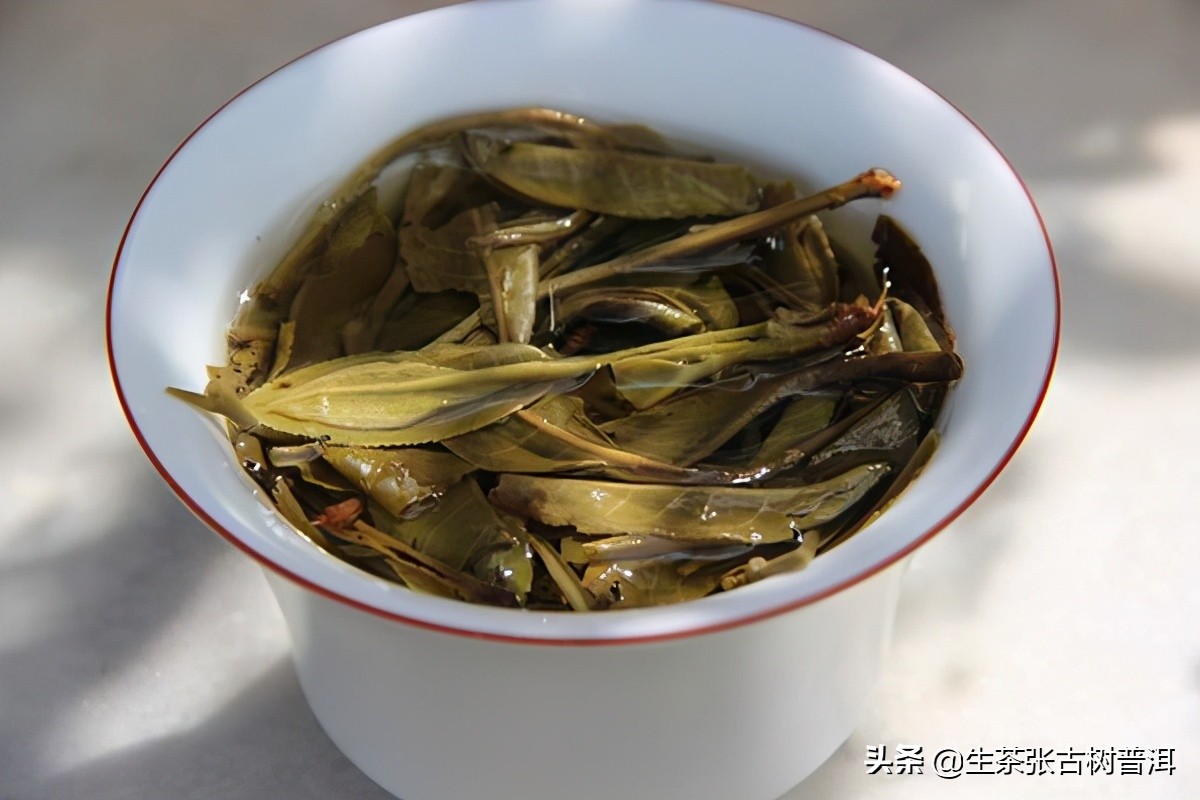 古树普洱茶知识专业讲解,普洱茶古树茶口感讲解