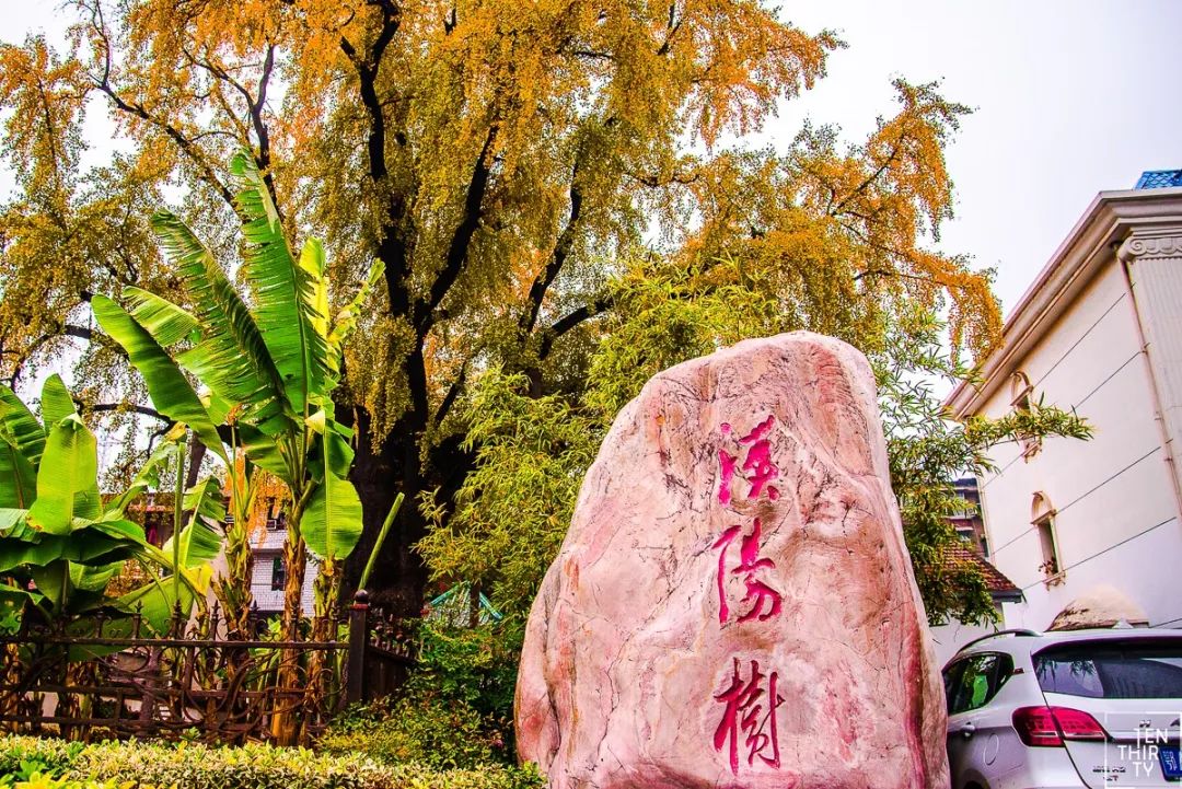 武汉必打卡排行榜,武汉十大打卡地