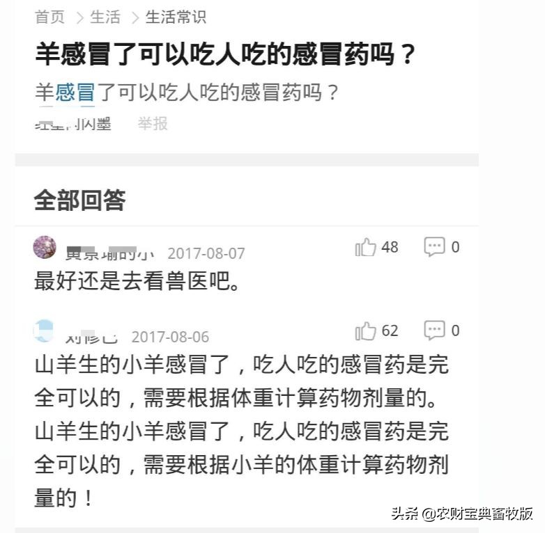 警醒!羔羊生病喂人吃的“头疼药”是“土办法”?实则违法