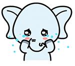 致敬所有的小天使,14岁小天使遗体捐献器官