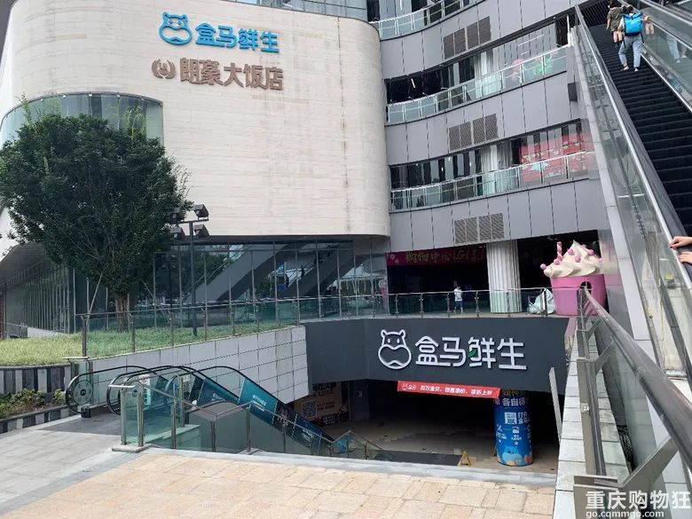 重庆杨家坪的记忆,重庆记忆杨家坪