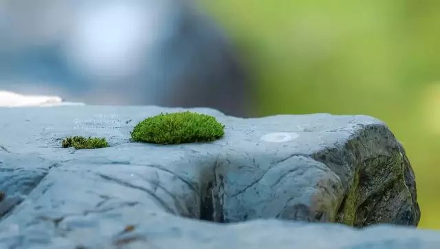 中暑了有什么解暑的方法,在特别热的环境中暑