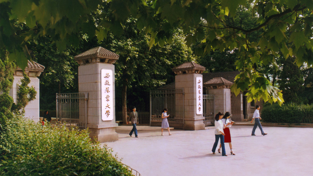 2023年大学排行榜安徽,大学排名2019安徽