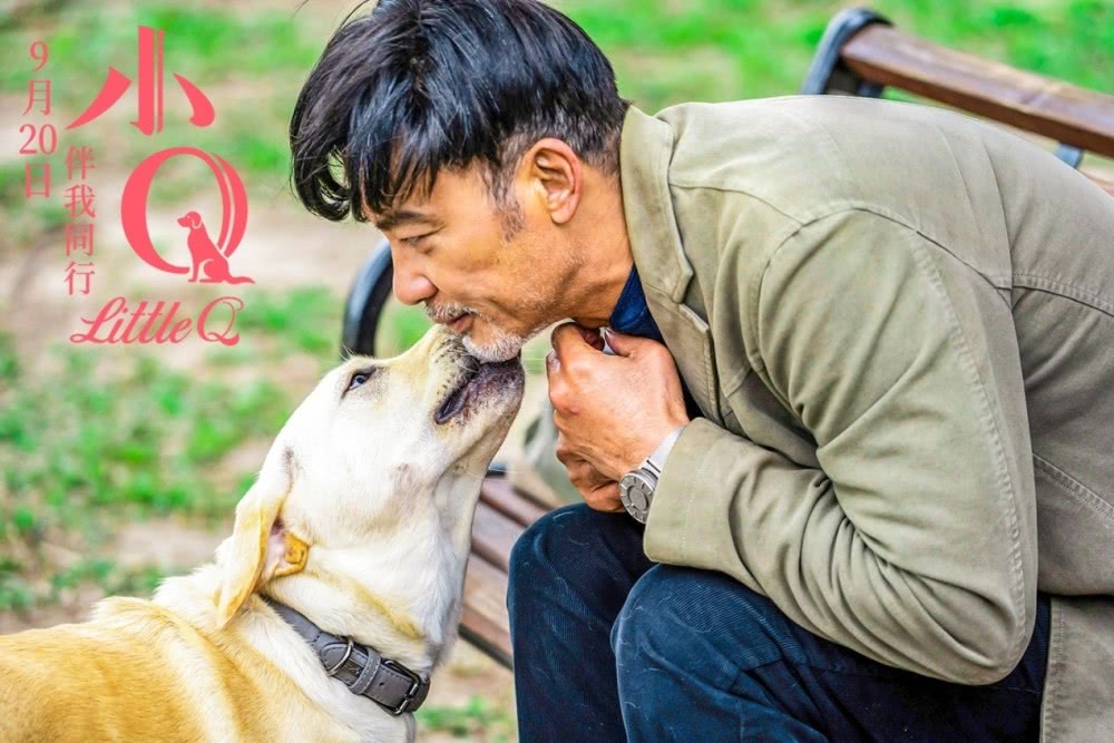 你有被人坚定的选择过吗原视频,你有被人坚定的选择过吗