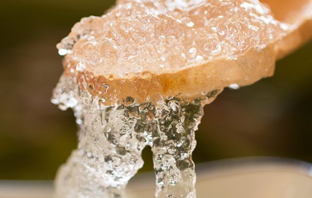 雪燕哪里的比较正宗,雪燕产地图片