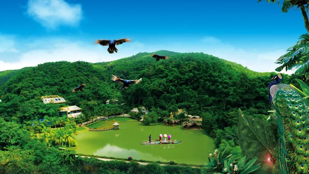 收好这份云南最新5a景区名单,云南的5a级景区有哪些