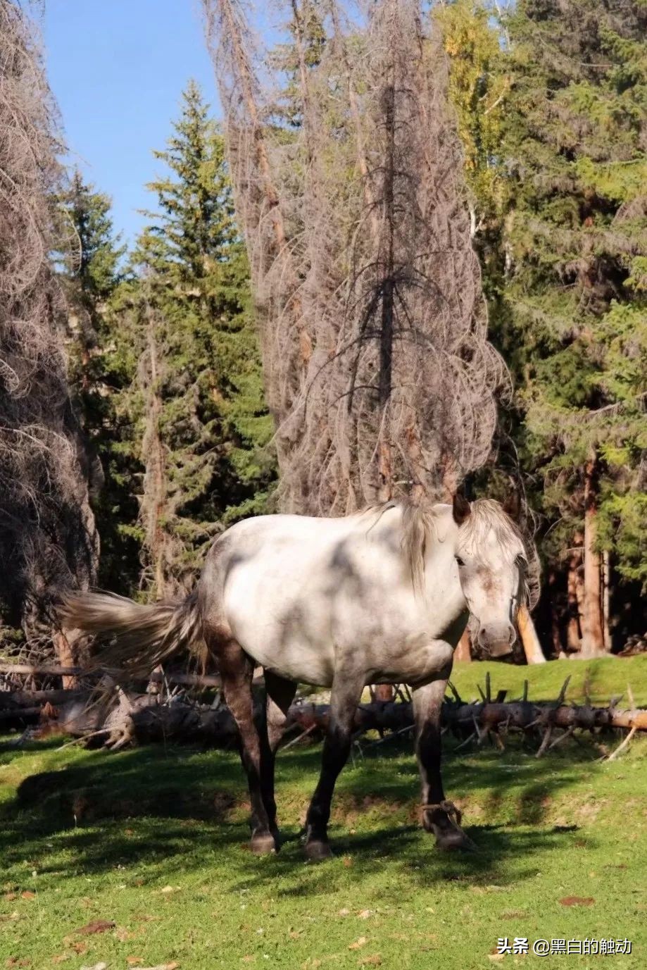 都说新疆好去新疆发展可靠么,都说新疆好地方