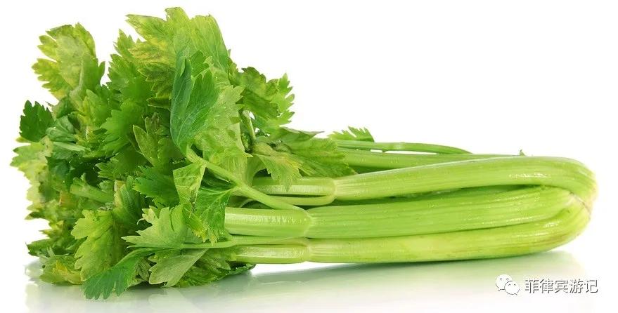 菲律宾青菜价格表,菲律宾蔬菜为什么那么贵