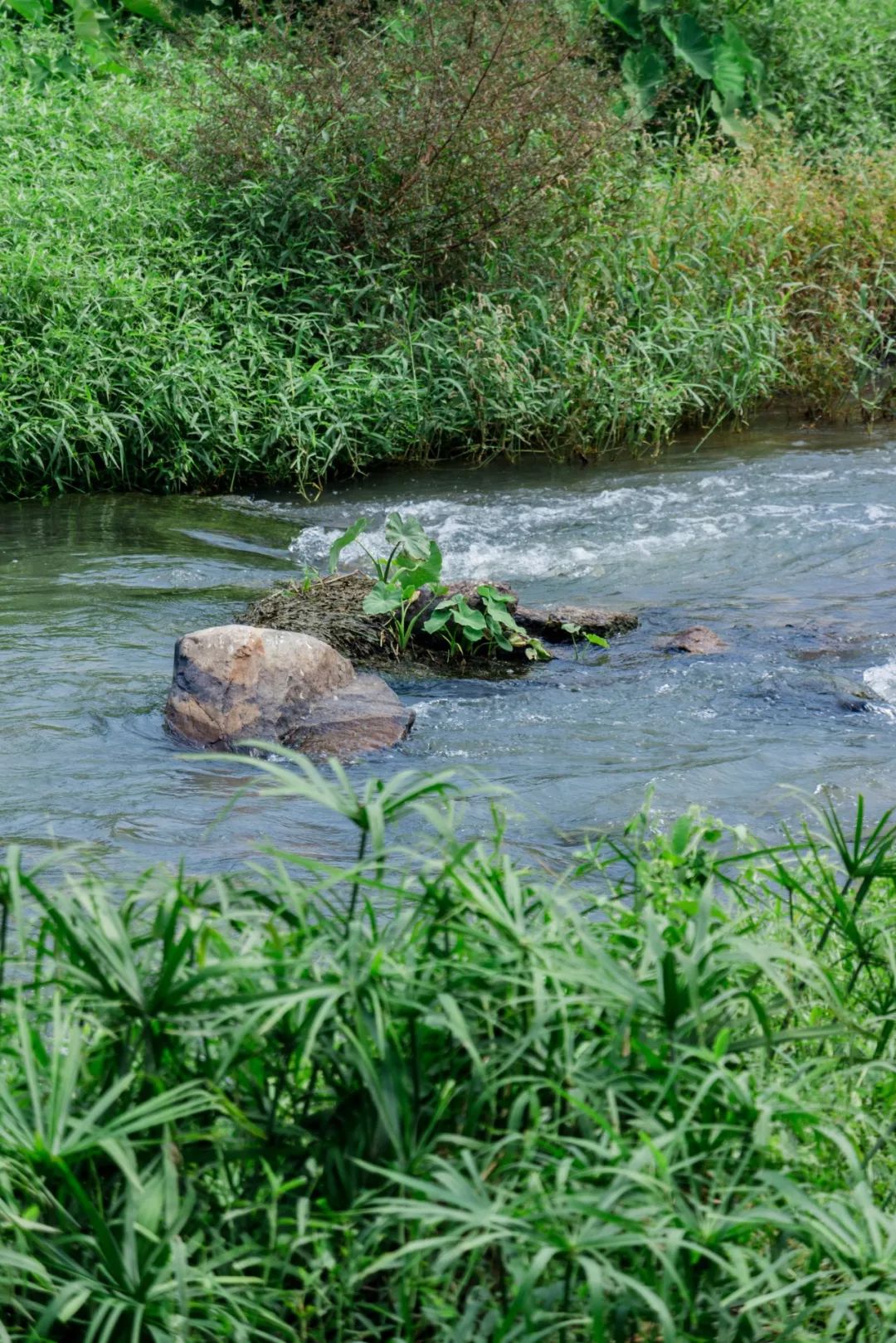 深圳好玩景点地铁路线,深圳好玩免费景点地铁直达的