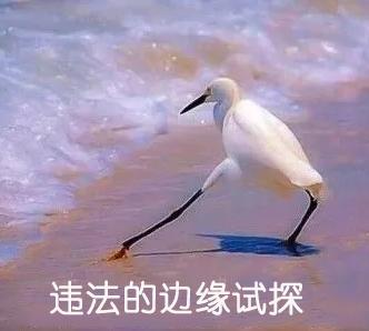 用护照入境澳门违法吗,持护照可以去香港澳门吗