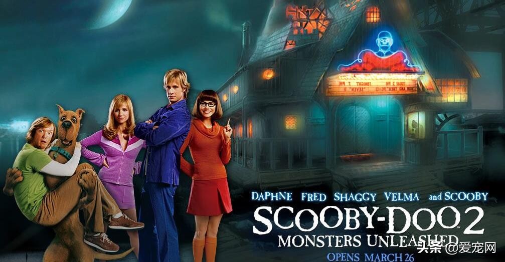 推荐给狗狗看的电影,关于狗狗和人性的电影