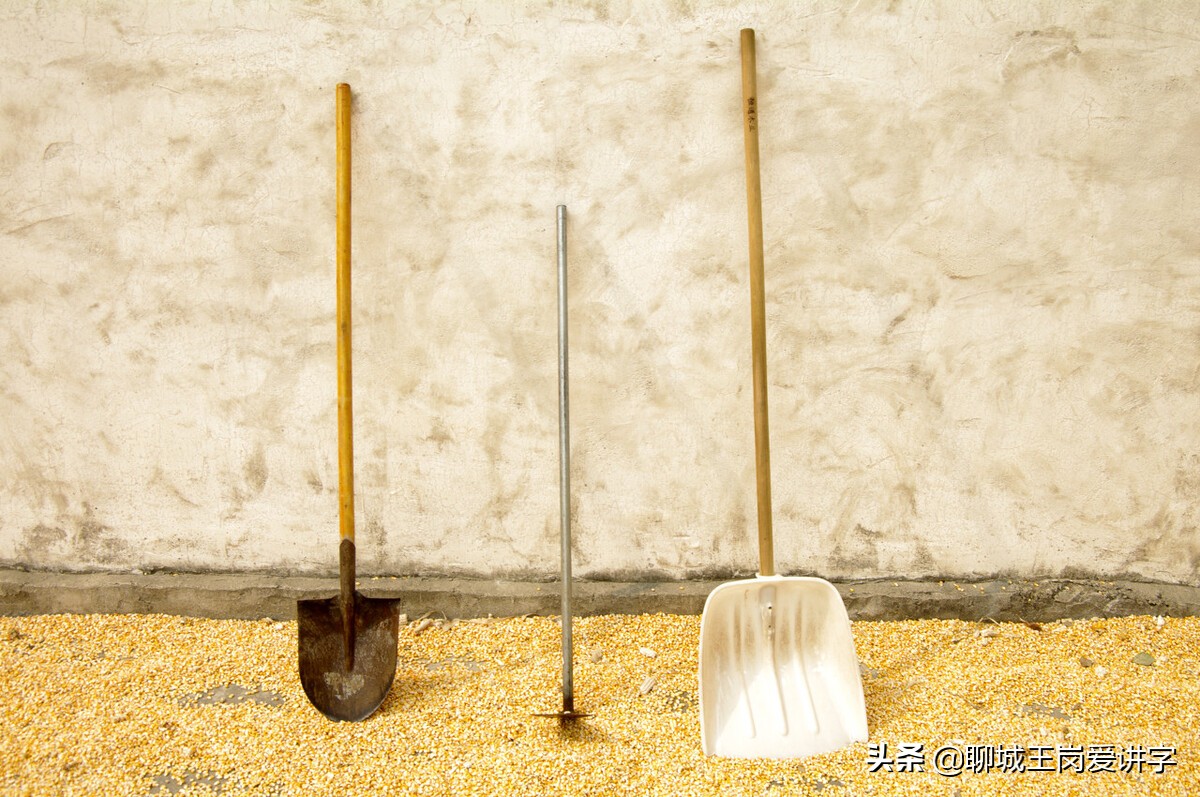 钱汉字的哲理,汉字中蕴含的道理